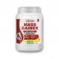  Lion Labs Mass Gainer  1000 